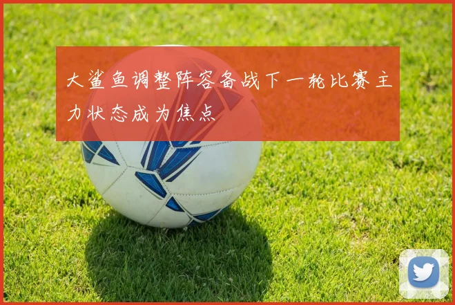 大鲨鱼调整阵容备战下一轮比赛主力状态成为焦点